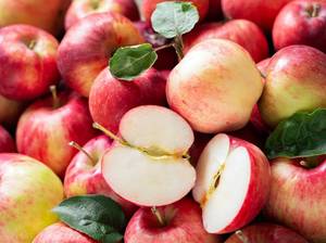 apfelwein-selber-machen-welche-aepfel