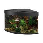 aquarium-eck