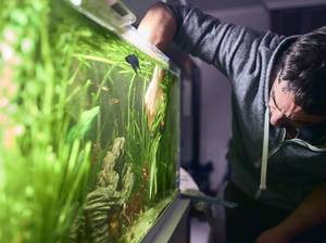 aquarium-selber-bauen-zubehoer.