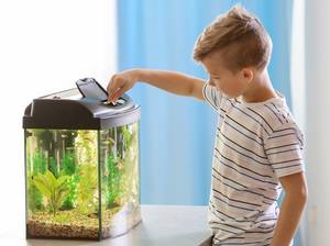 aquarium-suesswasser