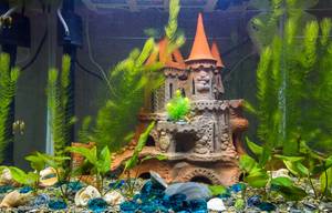 aquariumfilter aussenfilter