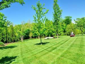 aufsitzmaeher-grosser-garten