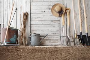 gartenwerkzeug vor holzwand