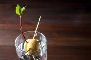 avocadokern-im-wasserglas