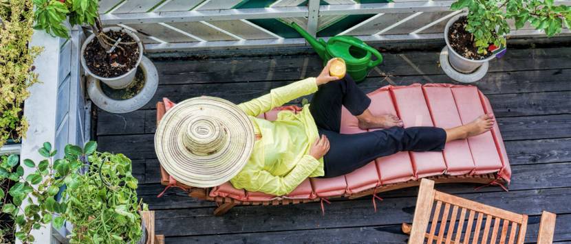 kuebelpflanzen stehen auf einem balkon
