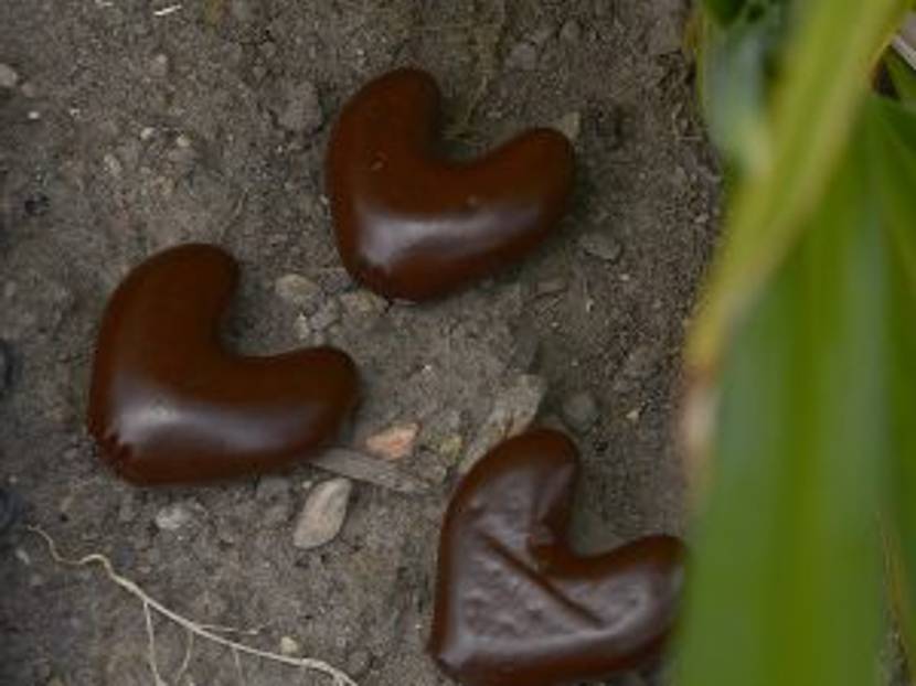 ideen einfache dekoration lebkucheherzen aus beton