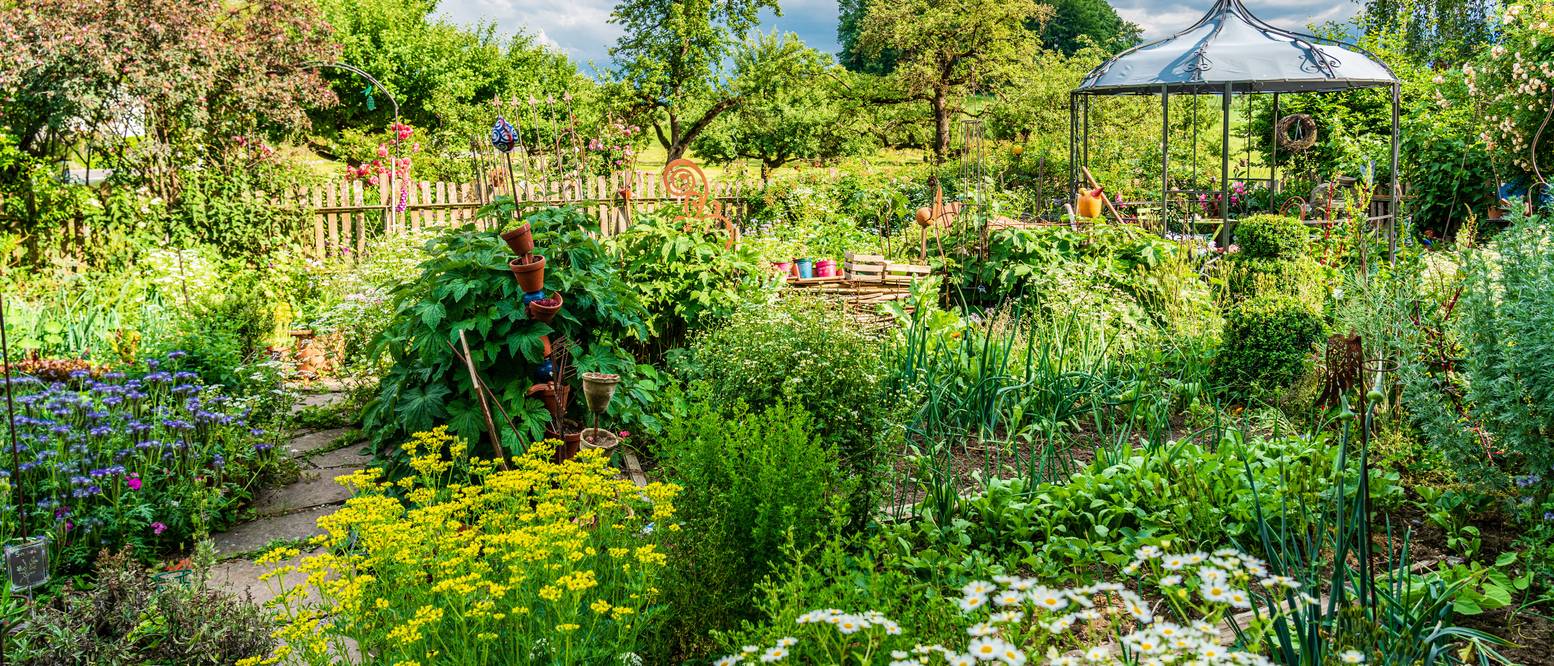 Bauerngarten anlegen 3 Tipps für einen üppigen, wilden Garten
