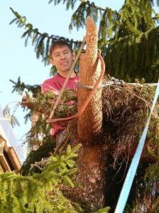Es gibt verschiedene Methoden einen Baum zu fällen