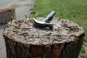 baumstumpf entfernen mit kupfernägeln und hammer