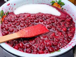 beeren-pflanzen-weiterverarbeiten