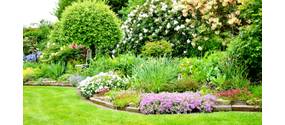 Großen Garten gestalten: So nutzen Sie die Fläche optimal