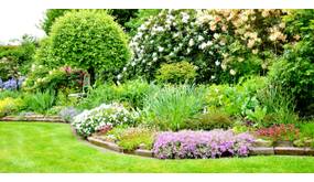 Großen Garten gestalten: So nutzen Sie die Fläche optimal