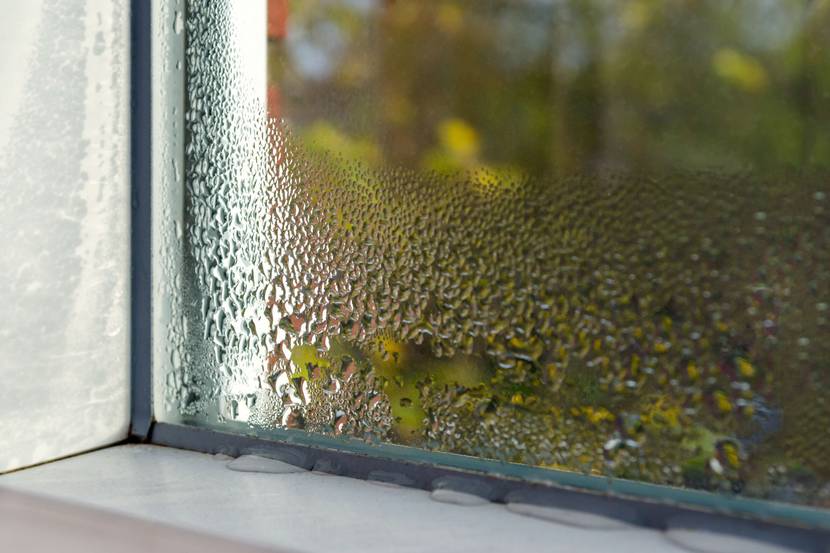 Kondenswasser an einer Fensterscheibe.