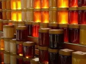 bienen-im-garten-halten-5