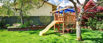 birke und rutsche im garten