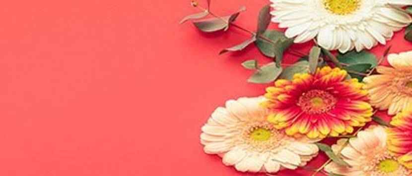 blumen