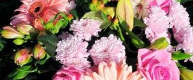 Welche Blumen sollte man verschenken?