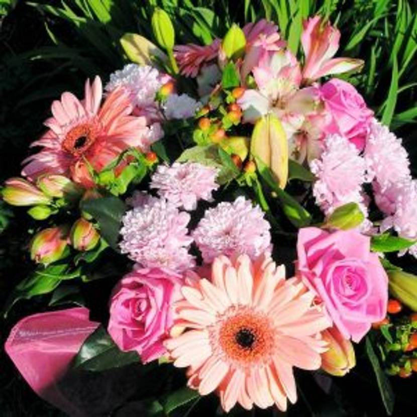 Rosafarbene Blumen – junge Liebe und Sehnsucht