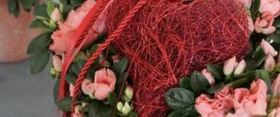 blumen-zum-valentinstag-titelbild