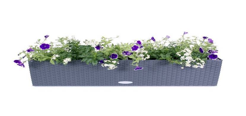 Blumenkasten aus Polyrattan