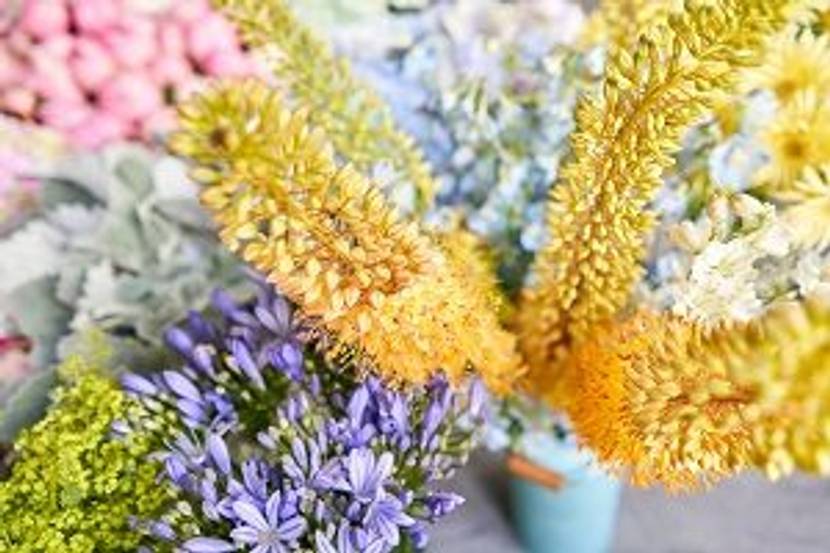 blumenstrauß mit kleopatranadel