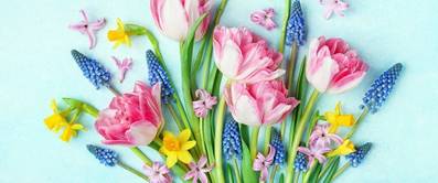 blumenstrauss-welche-blumen
