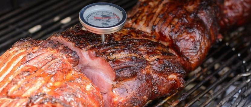 bratenthermometer vergleich