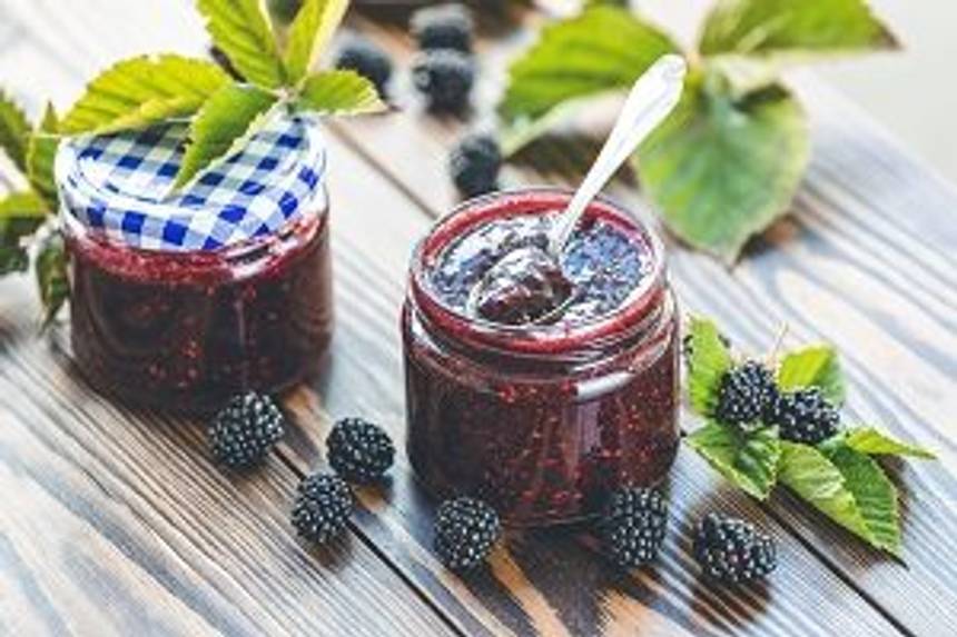 Brombeeren pflanzen im Topf Eine Anleitung in 5 Schritten