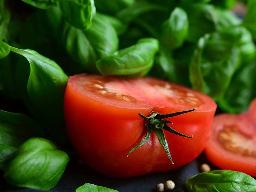 Bewährtes Duo – Tomate und Basilikum