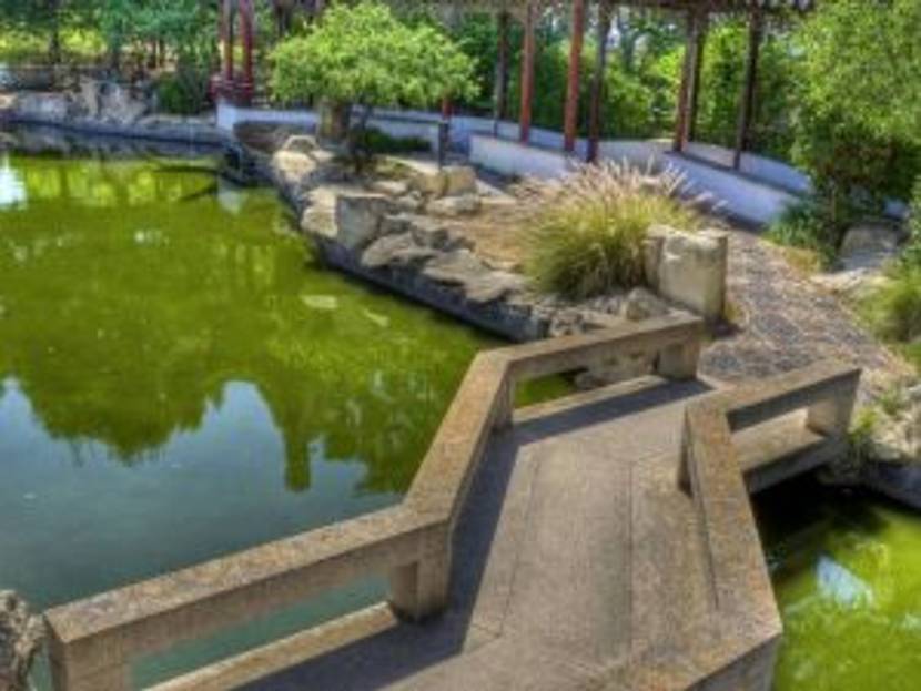 chinesischer-garten-6