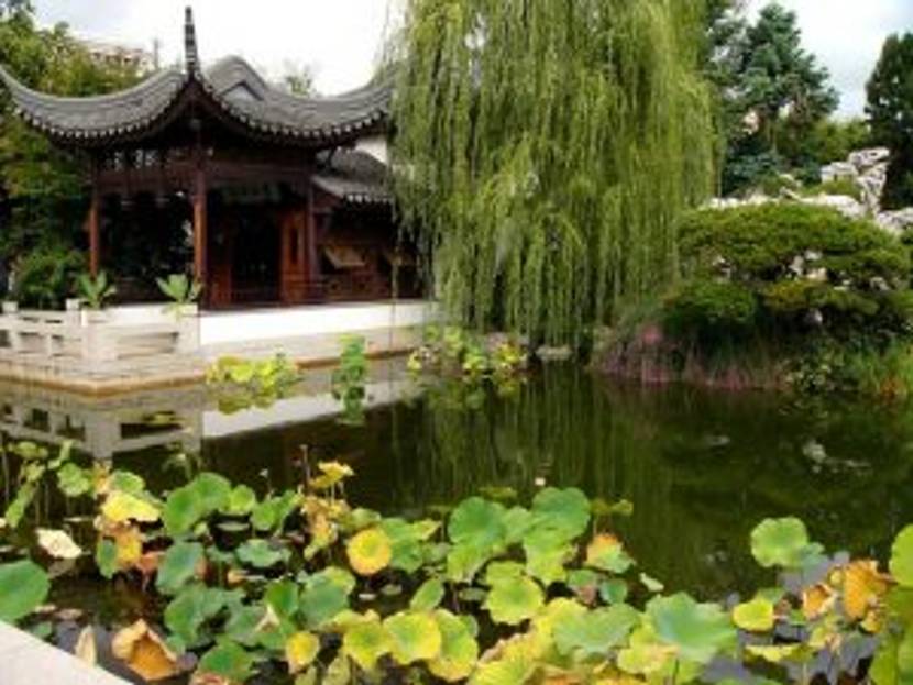 chinesischer-garten-8