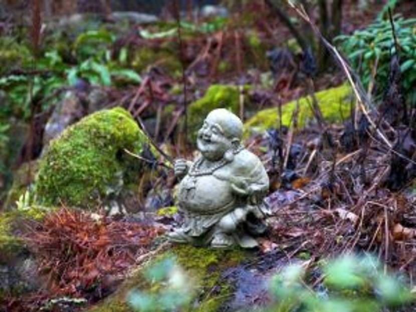 chinesischer-garten-9