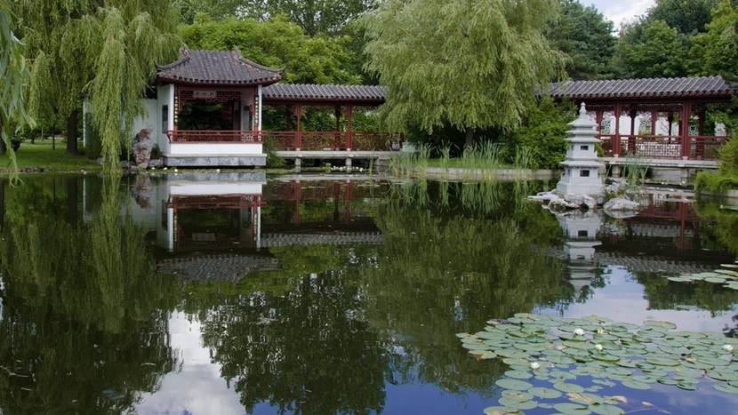 Ein Fischteich lässt sich sehr gut in das Gesamtbild des chinesischen Gartens einfügen.