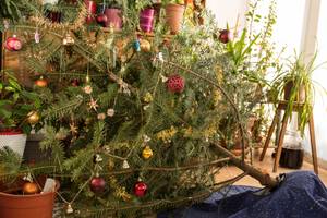 Ein umgefallener geschmückter Weihnachtsbaum im Wohnzimmer.