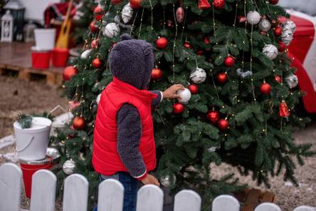 Christbaumständer im Test & Vergleich: 2 klare Sieger!