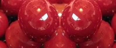 Cranberry (Vaccinium macrocarpon) – Gesunde Beeren und Säfte