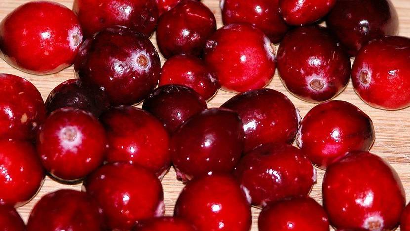 Die Cranberry, eine gesunde Beere für den vielseitigen Gebrauch