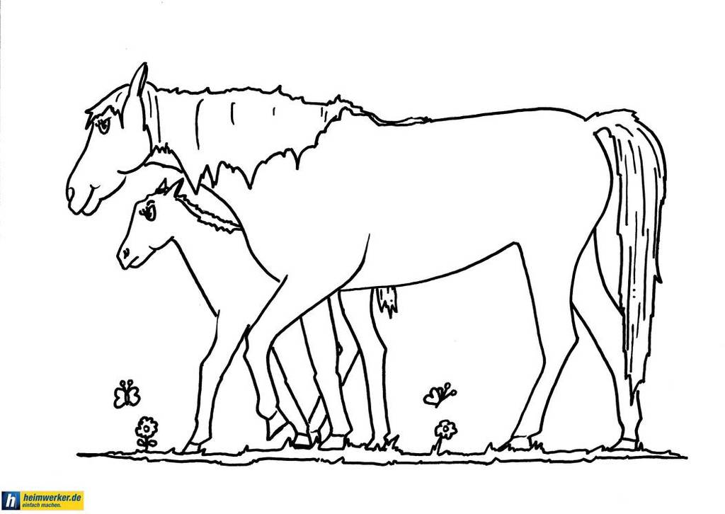 csm-malvorlage-pferde-mit-fohlen