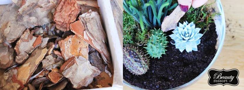 Mini-Terrarium gestalten