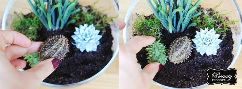 Mini-Terrarium gestalten