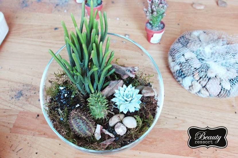 Selbst gemachtes Florarium (Mini-Terrarium)