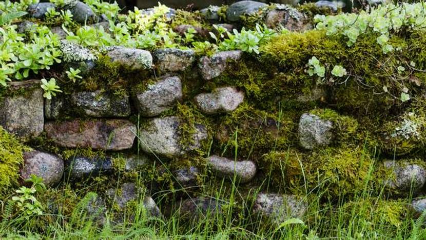 Natursteinmauer
