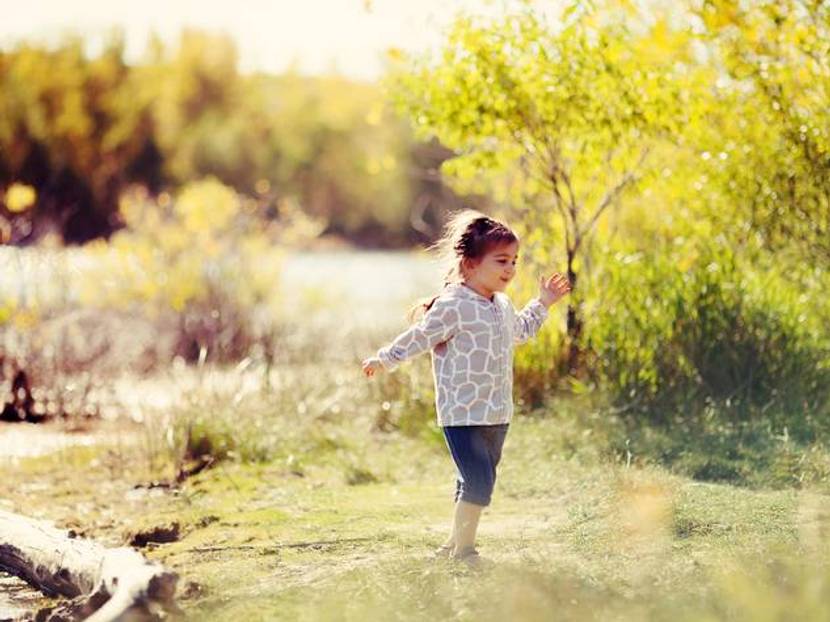 Sommer in der Natur