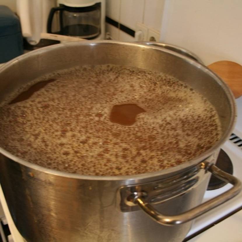 Bier brauen