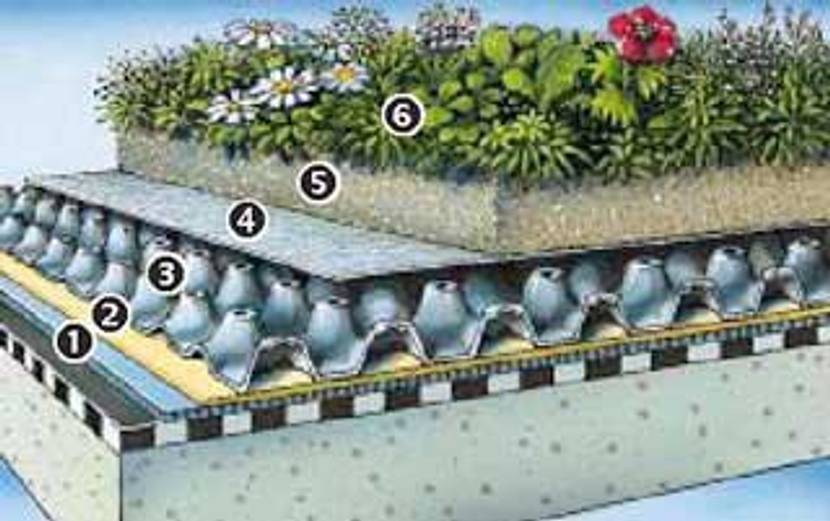 dachbegruenung-schema-zinco aufbau der schichten