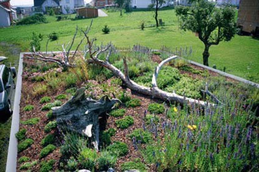 garagendach-gruendach-zinco-Totholzdekoration