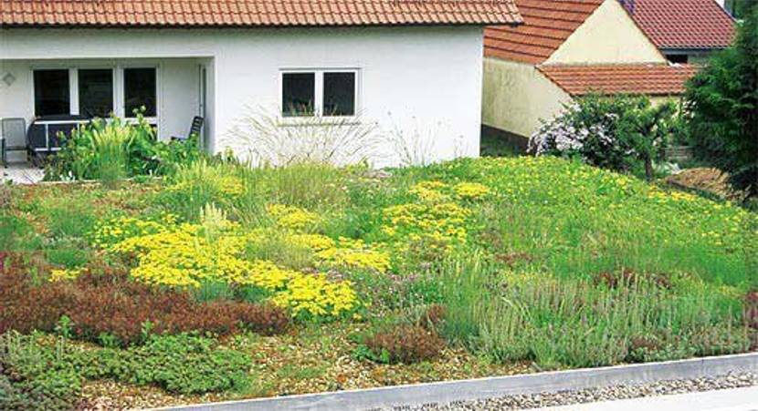 garagendachbegruenung-zinco- sedum und Gräser