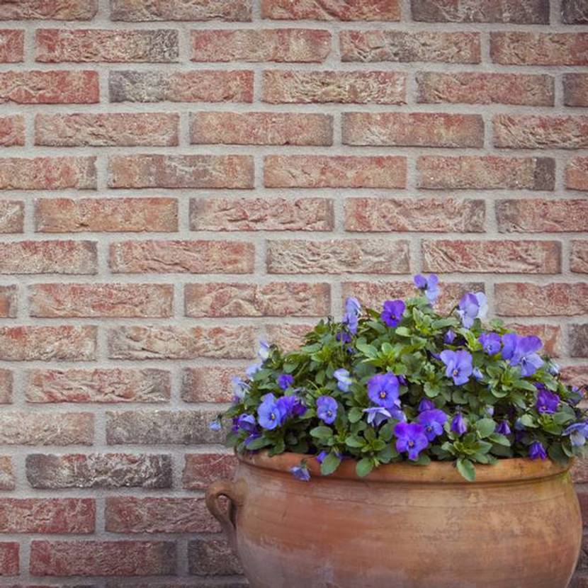 Gartenmauer richtig mauern