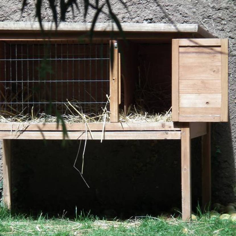 Kaninchenstall selber bauen