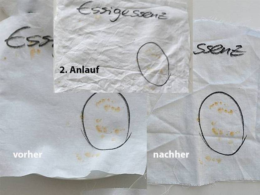 Auch nach 24 h sind die Flecken noch zu sehen.